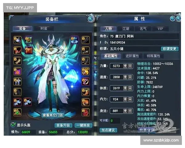 武魂玄冰加点策略全面解析:输出与防御平衡优化方案 武魂玄冰加点策略全面解析:输出与防御平衡优化方案