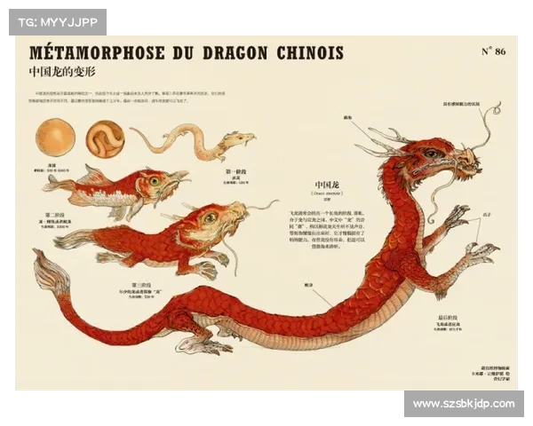 《潘达利亚秘境全景探索指南:从历史遗迹到神秘生物的全方位揭示》 《潘达利亚秘境全景探索指南:从历史遗迹到神秘生物的全方位揭示》